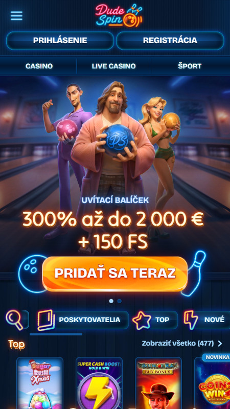 DudeSpin main page